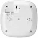 rear-500-1087355152.jpg