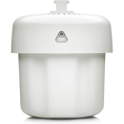 rear-500-1072291034.jpg