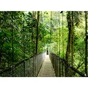 images-img-gallery_mediums-4a9a87bf078e538c9dc13e2a31a7497f2b91b053.jpg