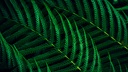 images-img-gallery_mediums-581fd7dce0261ef6dfef7e8ce5addf2ffb94b8f3.jpg