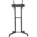 front-500-1073446401.jpg