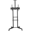 front-500-1073446402.jpg