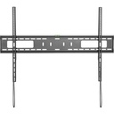 front-500-1056345398.jpg