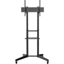front-500-1075744620.jpg