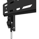 alternate-image6-500-1072187081.jpg