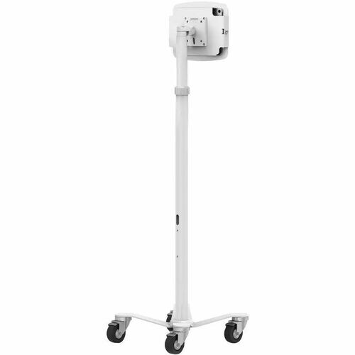 rear-500-1083821814.jpg