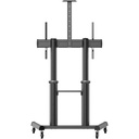 rear-500-1076475810.jpg