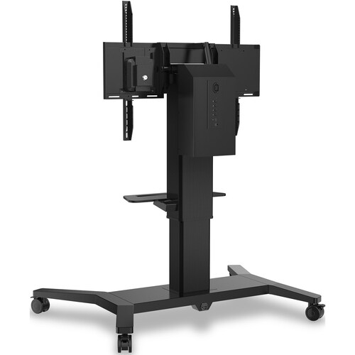 rear-500-1067698470.jpg