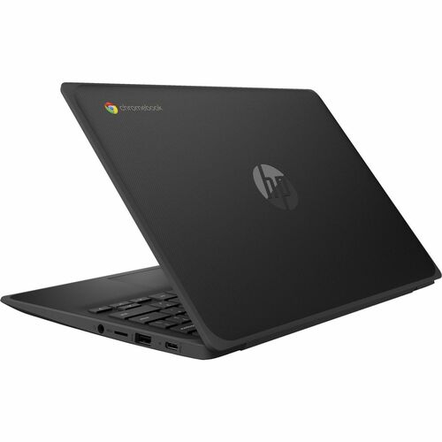 rear-500-1077922485.jpg