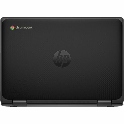 rear-500-1081270612.jpg