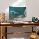 images-img-gallery_mediums-106168456_4680551861.jpg