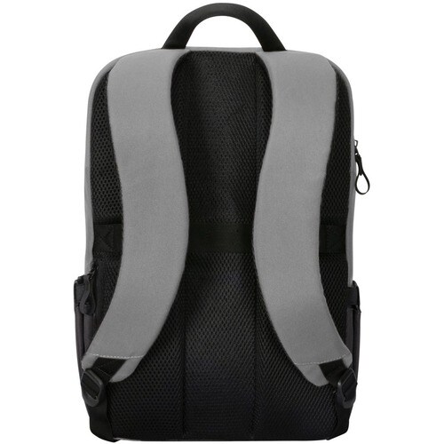 rear-500-1073555019.jpg