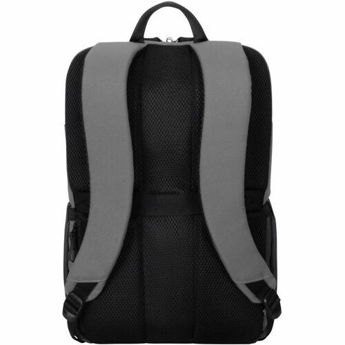 rear-500-1073555018.jpg