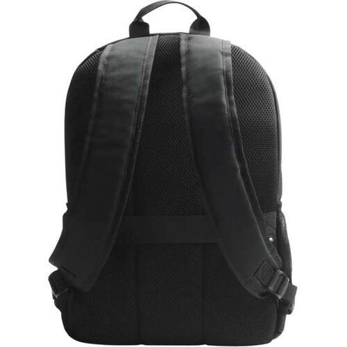 rear-500-1080625646.jpg