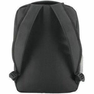 rear-300-1086383060.jpg