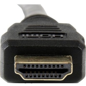 rear-300-1027558752.jpg