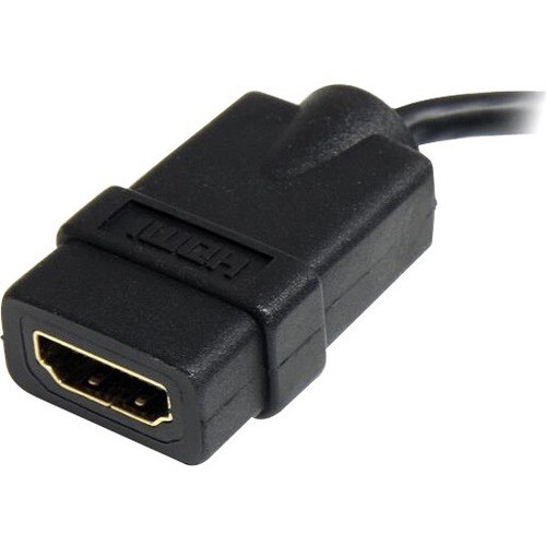 rear-500-1027263710.jpg