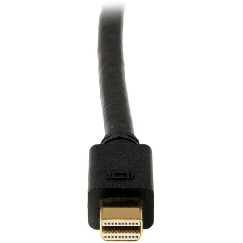 rear-500-1025116069.jpg