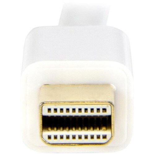 rear-500-1030098649.jpg