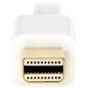 rear-500-1030098649.jpg