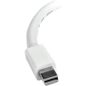 rear-300-1023270096.jpg