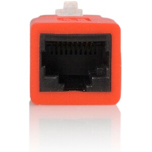 rear-300-1023269914.jpg