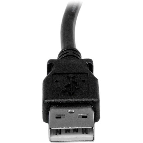 rear-500-1025814537.jpg