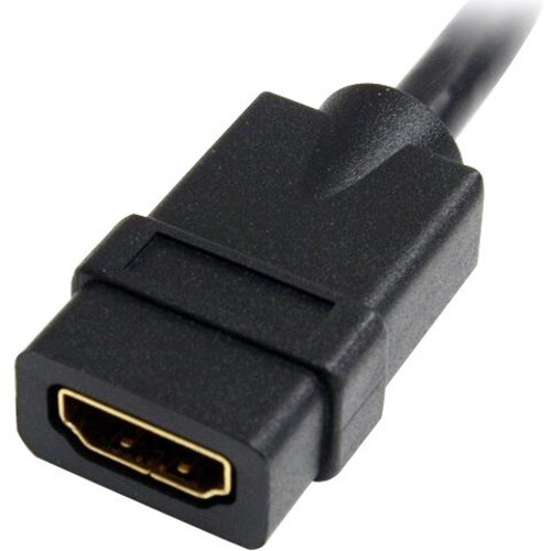 rear-500-1027251492.jpg
