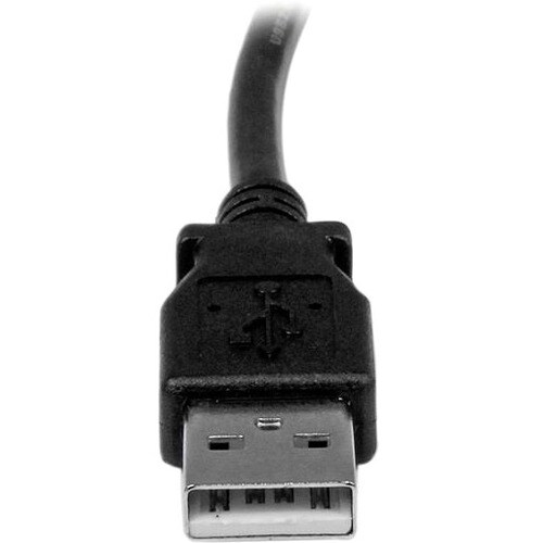 rear-500-1024908014.jpg