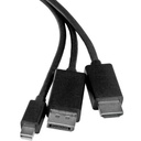 rear-500-1032224916.jpg