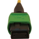 alternate-image3-500-1076476183.jpg