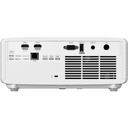 rear-500-1080180017.jpg
