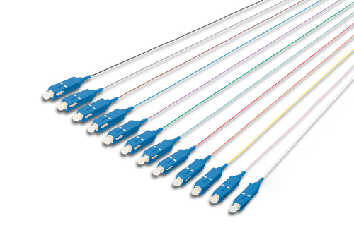 Digitus FO PIGTAIL SET 12 PCS.