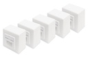 Digitus CAT 6 WALL OUTLET SHIELDED 2X RJ45 8P8