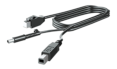 Hp 300CM DP+USB PWR CABLE