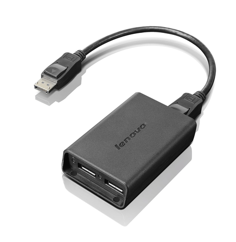 Lenovo DisplayPort to Dual DisplayPort Monitor