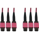 Tripp Lite N858B-15M-3X8MG Fiber Optic Trunk Network Cable