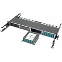 Tripp Lite 100Gb/120Gb to10Gb Breakout Cassette, 24-Fiber MTP/MPO to ( x12 ) LC Duplex
