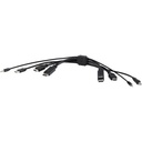 Belkin TAA DUAL (1) HDMI-HDMI (1) DP-DP/USB/AU CBL