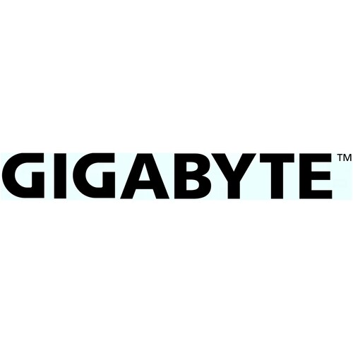 Gigabyte Internal Power Cord