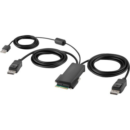 Belkin Modular DP Dual-Head Host Cable 6 ft.
