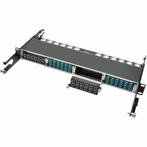 Tripp Lite 40Gb Pass-Through Cassette - (x12) 12-Fiber MTP/MPO