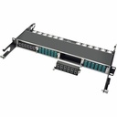 Tripp Lite 40Gb Pass-Through Cassette - (x12) 12-Fiber MTP/MPO