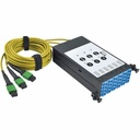 Tripp Lite N482-3M8L12S-B 9/125 Fiber Breakout Cassette