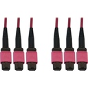 Tripp Lite N858B-10M-3X8MG Fiber Optic Trunk Network Cable