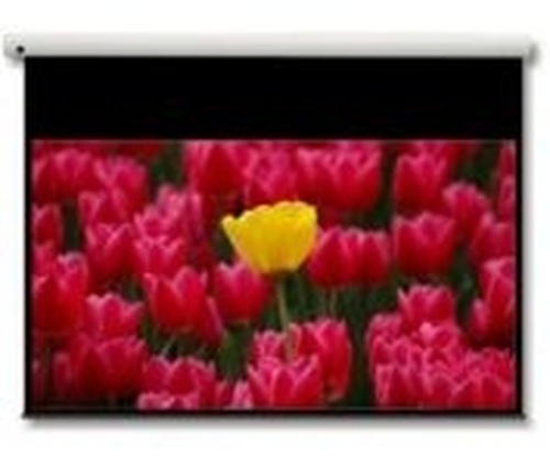 Optoma Panoview DE-9106EGA Electric Projection Screen