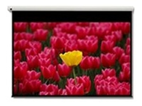 Optoma Panoview DE-9120EGA Electric Projection Screen