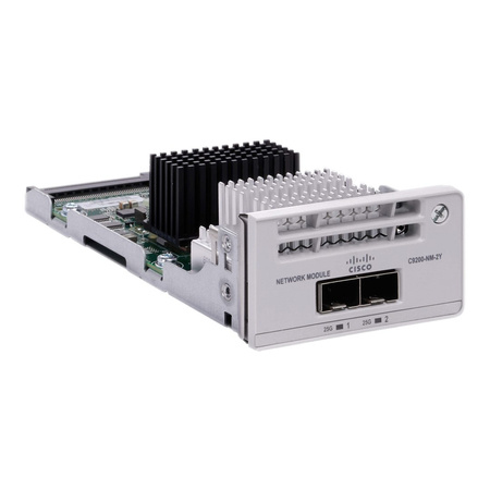 Cisco 2 x 25G Network Module