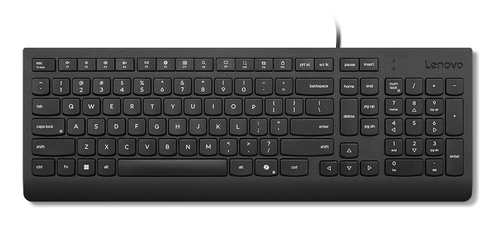 Lenovo Essential Wired Keyboard AI
