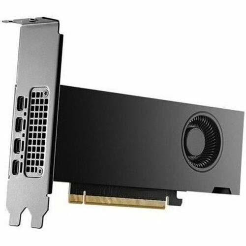 Dell NVIDIA RTX 2000 Ada Generation 16 GB
